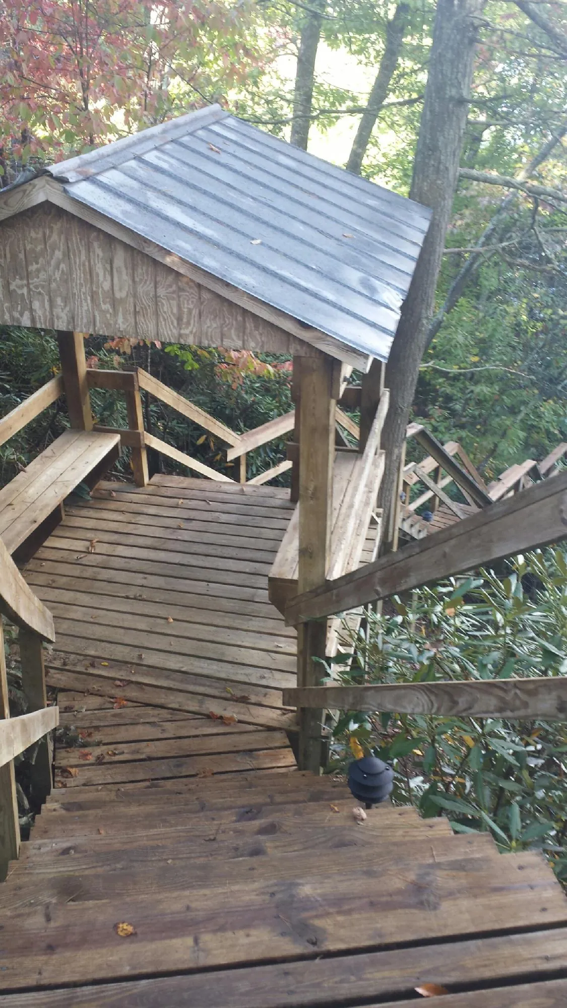 Metal roofed shelter over wooden steps on a wooded walkway — Skylight Repair & Installation work by our crew in Melba